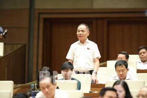 Phát triển thủy điện bền vững phải gắn với bảo vệ rừng