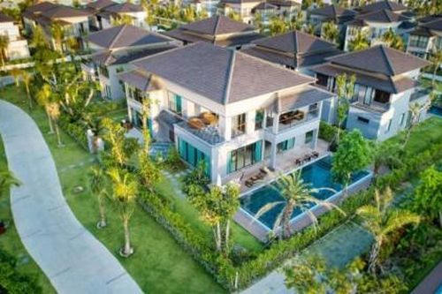 C.E.O lỗ hơn trăm tỷ, lợi nhuận giảm 87% trong quý III