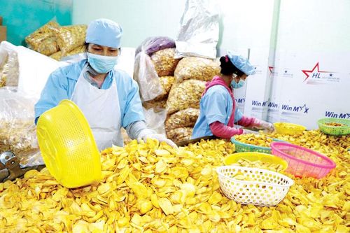 Liên kết các vùng chuyên canh nông nghiệp