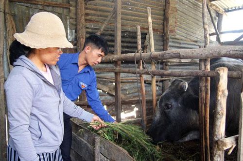 Giúp thanh niên yếu thế mạnh dạn phát triển kinh tế