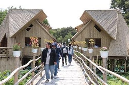 Cùng Thủy Tinh dạo quanh Thủ phủ Tràm