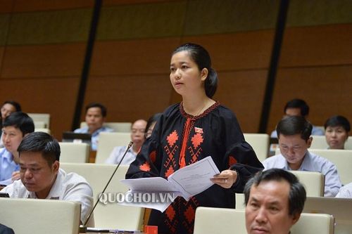 ĐBQH: Pin năng lượng tràn lan, hết hạn thì để nướng bò hay đưa lên Mặt trăng?