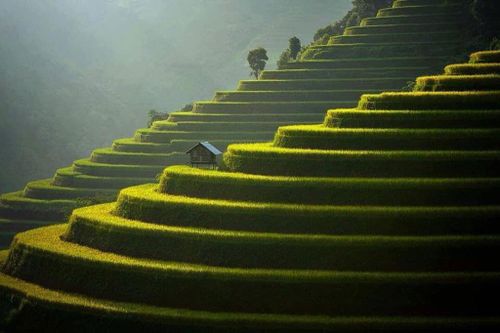 Mù Cang Chải lọt tốp 50 địa điểm đẹp nhất thế giới