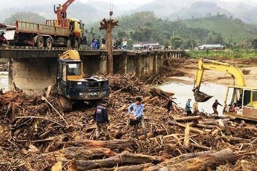 Quảng Ngãi: Lũ lớn, gỗ to trôi về, 'lộ mặt' lâm tặc rừng đầu nguồn