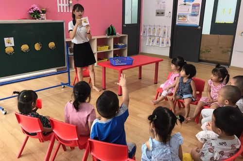 Đình chỉ một trường mầm non hoạt động chui tại TP.HCM