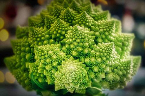 Loại rau có hình thù kỳ lạ