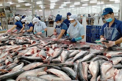 Không để cá tra 'mắc cạn'