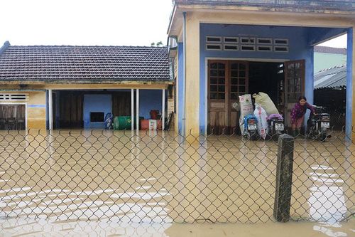 Quảng Ngãi tập trung ứng phó lũ lớn trên các sông