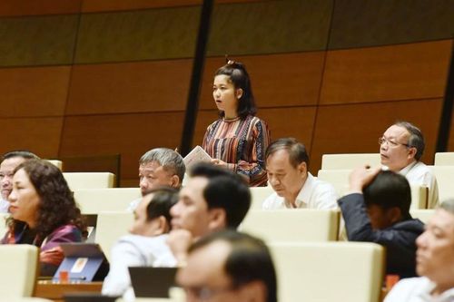 ĐBQH đề nghị Bộ trưởng trả lời có hay không ủng hộ thủy điện nhỏ