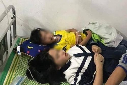 Cảnh báo nguy hiểm tổ ong trong khuôn viên trường