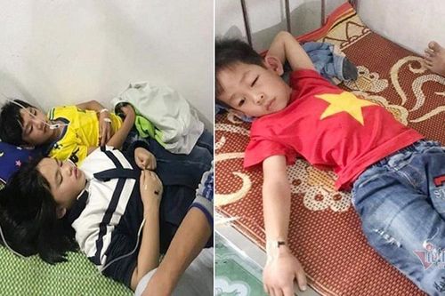 Ném đá tổ ong, gần 20 học sinh bị đốt phải nhập viện cấp cứu