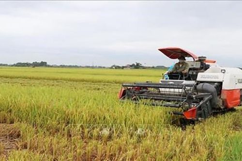 75% số xã đạt chuẩn nông thôn mới tại Thái Nguyên