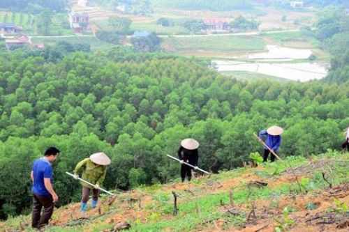 Phó Thủ tướng Trịnh Đình Dũng: Không kiểm soát tốt, các công trình thủy điện sẽ có tác động rất lớn đến mưa lũ, sạt lở đất