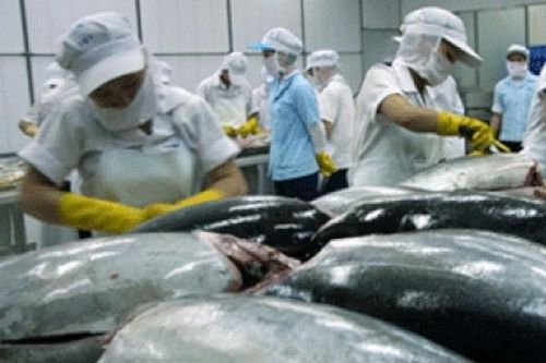 Xuất khẩu thủy sản: Mặt hàng cá Ngừ xuất sang Mỹ tăng trưởng trở lại