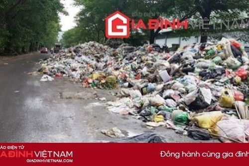 Thu hồi giấy phép cấp sai, bồi thường đất ở tại Khu xử lý chất thải Sóc Sơn