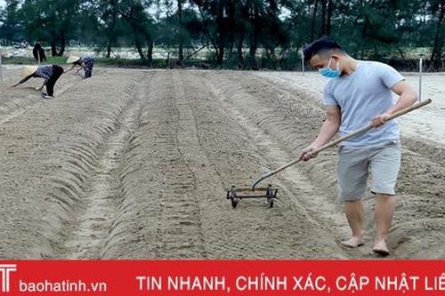Hà Tĩnh 'hồi sinh' sau mưa lũ