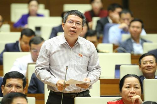 Vì sao độ che phủ rừng ở Việt Nam thấp hơn các nước xung quanh?