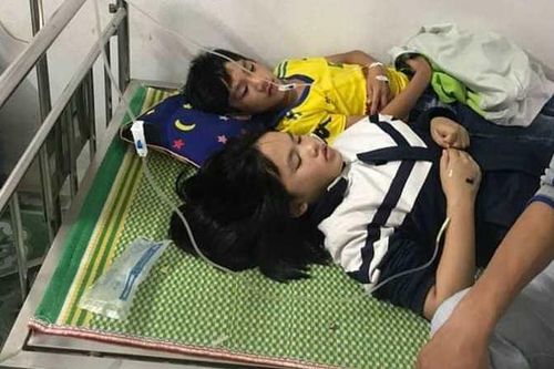 Nghệ An: 16 học sinh bị ong đốt phải nhập viện