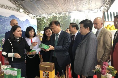 Hỗ trợ doanh nghiệp mở rộng thị trường