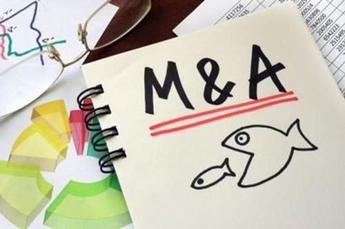 Thị trường M&A của Việt Nam sẽ hồi phục theo mô hình chữ V và tăng lên 7 tỷ USD vào năm 2022?
