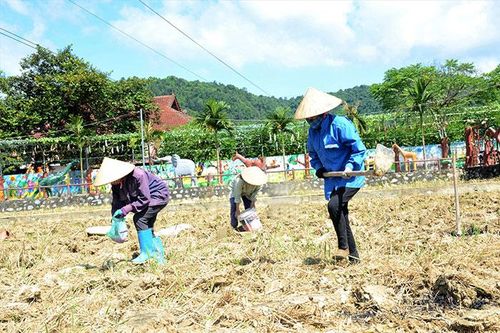 'Trao cần câu' cho người nghèo vươn lên