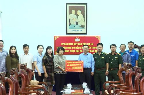 Thành phố Hồ Chí Minh hỗ trợ Gia Lai 500 triệu đồng để khắc phục hậu quả bão số 9