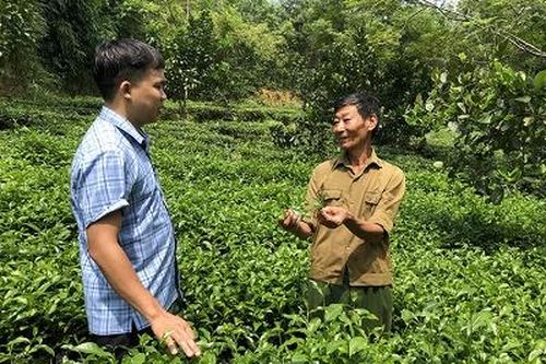 Kỳ II: Đổi mới tổ chức sản xuất