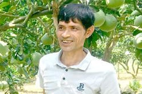 Làm giàu từ trồng cây ăn quả