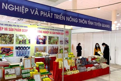 26 sản phẩm nông nghiệp tham gia Hội chợ làng nghề và sản phẩm OCOP toàn quốc