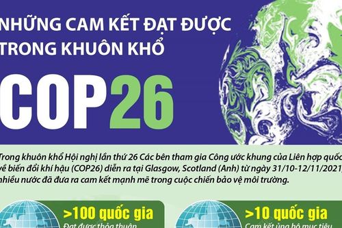Infographics: Những cam kết đạt được trong khuôn khổ COP26
