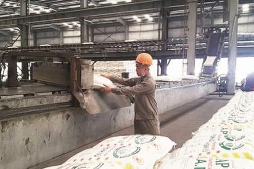 Các dự án DAP sẽ thoát hiểm nhờ thuế GTGT về 5%