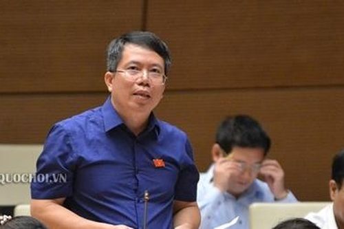 Phải chăng năng lực bảo vệ rừng của nước ta không tốt?
