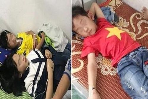 16 học sinh bị ong đốt phải nhập viện