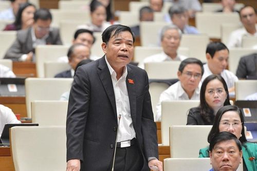 Bộ trưởng NN&PTNT: Nhìn Google, rừng Việt Nam ít hơn Campuchia, Lào là chính xác