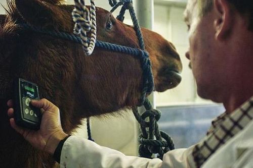 Khám phá phòng thí nghiệm sản xuất thuốc giải độc nọc rắn
