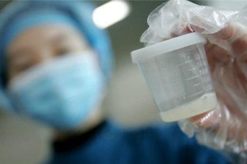 Bác sĩ cảnh báo suy giảm chất lượng tinh trùng ở các 'quý ông'