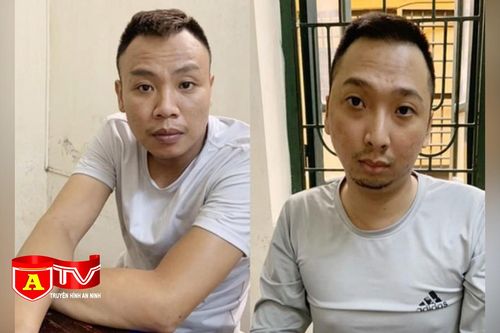 Hai 'đạo chích' gương ô tô sa lưới sau 6 tháng gây án