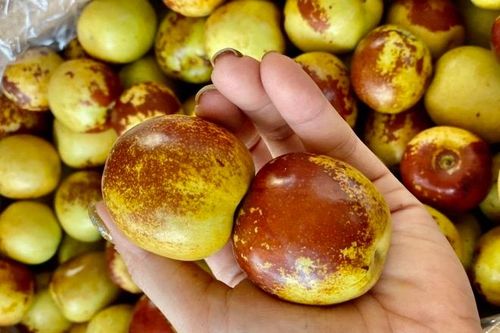 Táo tàu tươi giá 200.000 đồng/kg hút khách
