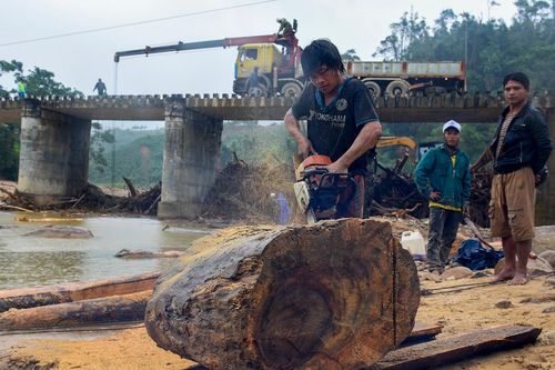 Gỗ rừng trôi dạt làm hỏng hai nhịp cầu bê tông