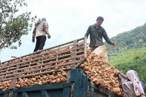 Xuất khẩu của Lào sang Việt Nam tăng bất chấp đại dịch COVID-19
