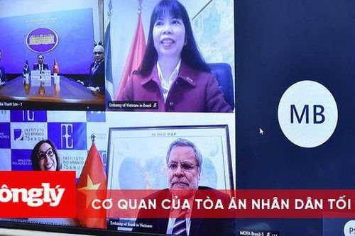 Việt Nam - Brazil chia sẻ về tình hình ứng phó và kiểm soát đại dịch COVID-19