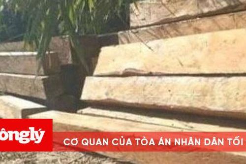 Kon Tum: Phát hiện hai vụ phá rừng quy mô lớn
