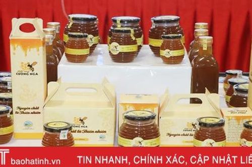 Xây dựng nhãn hiệu 'Mật ong Hương Sơn', mở rộng thị trường tiêu thụ