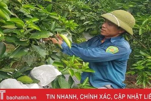 Người dân huyện miền núi Hà Tĩnh 'gượng dậy' sau lũ