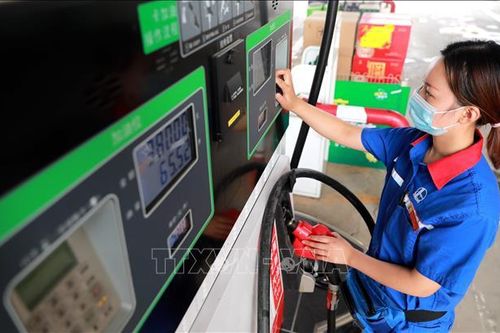 Giá dầu tuần qua mạnh lên nhờ đà tăng trong các phiên đầu tuần