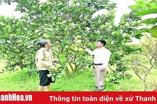 Chuyển biến tích cực trong học và làm theo Bác ở Đảng bộ huyện Triệu Sơn