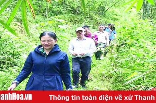 Huyện Quan Sơn thực hiện tốt chính sách hỗ trợ cho người trồng rừng