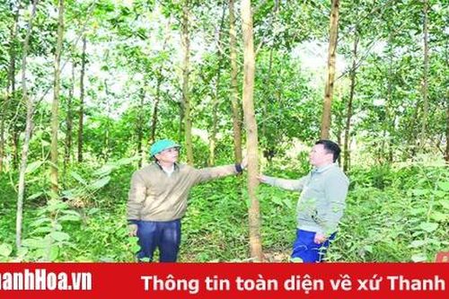Các dự án nông thôn miền núi giúp đồng bào vùng cao thoát nghèo