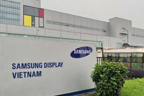 Khủng hoảng kép, Samsung Display Việt Nam báo lỗ 2.700 tỷ đồng trong quý II/2020