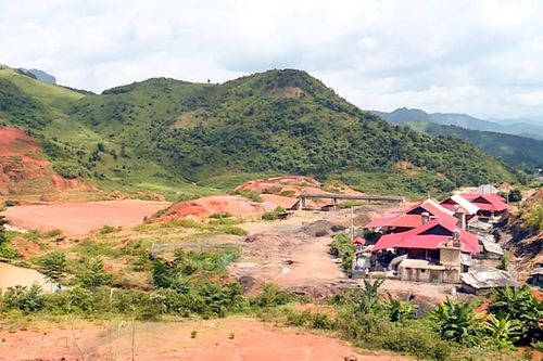 Mánh Ðanh chưa 'lạc nghiệp'